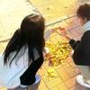 小语头像