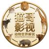 猫哥戏说动物世界头像