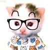 猫处(无畏契约)头像