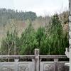 用户977234头像