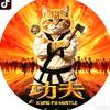 橘猫信息社头像