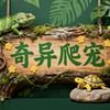 奇异爬宠头像