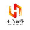 小马视界头像