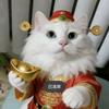 六六头像
