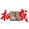 蓝色香水瓶（限流失败）头像