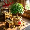 华姐好物头像