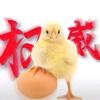 蛋黄仁头像