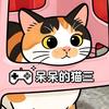 呆呆的猫三头像