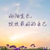 这不好事么头像