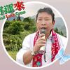 琴、书、弹、唱头像