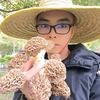 伊犁河野蘑菇头像