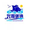 兴哥优选头像
