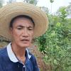 山城新农人周贰哥头像