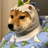 一秒开心哥头像