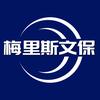 梅里斯文保头像