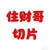 住财哥（切片）头像