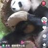 大吉大利，健康有福。头像