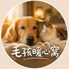 毛孩暖心窝头像