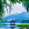 时光无声头像