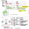 地理滚出我的学校。头像