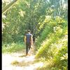 小亲亲的乡野旧忆头像