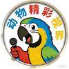 动物精彩视界头像