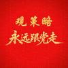 观策略头像