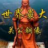 dsyshunqizir头像