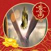 乡村杨八郎头像