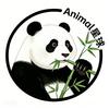 Animal星球头像