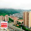 让你的是真心话。头像