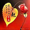 大漂亮头像