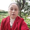 小菠菜头像