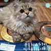 我爱妮妮头像
