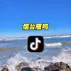 烟台雁鸣头像