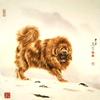 🇨🇳勇哥养獒🇨🇳头像
