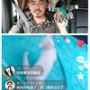 大叔爱玩猫头像