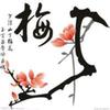 梅韵姐头像