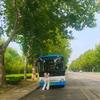 随风而动头像
