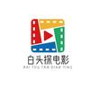 白头探电影头像
