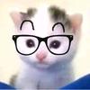 猫处(无畏契约)头像
