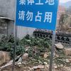 仙女来了头像
