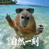 自然一刻头像