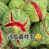 朝阳大妈的瓜园🍉头像
