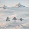 冬天的太阳头像