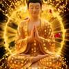 秋天恭迎观世音菩萨成道日🙏🙏🙏千头像