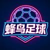 蜂鸟足球头像