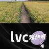 绿草头像
