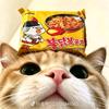 星眠头像