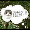 疯狂的珍珠奶茶闺蜜头像